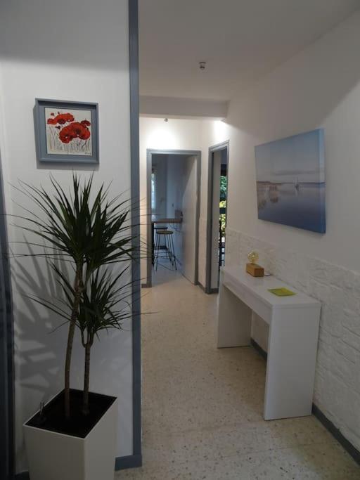 Grande Maison 3 Chambres - Jardin, Terrasse Et Parking - Bord De Mer Torreilles Εξωτερικό φωτογραφία